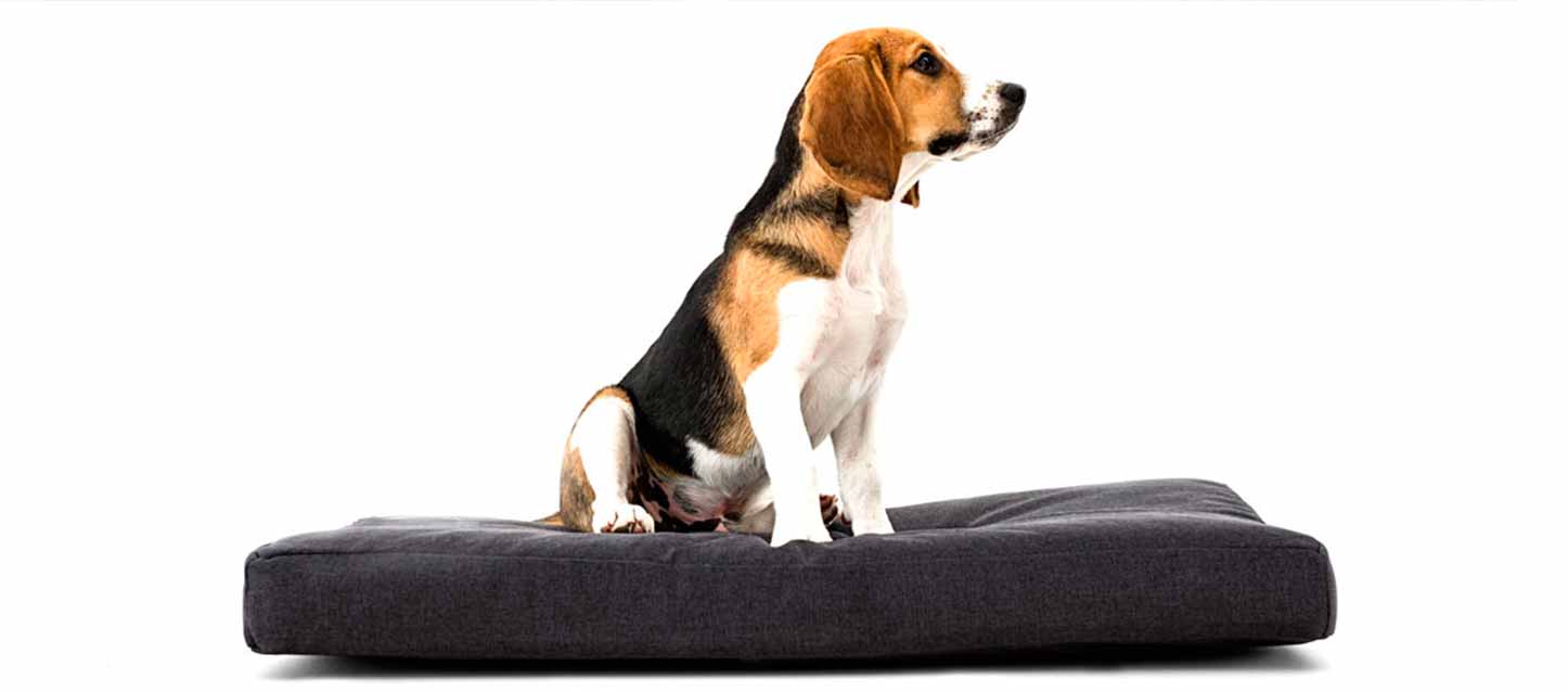 10.-cama-perro cama para perros