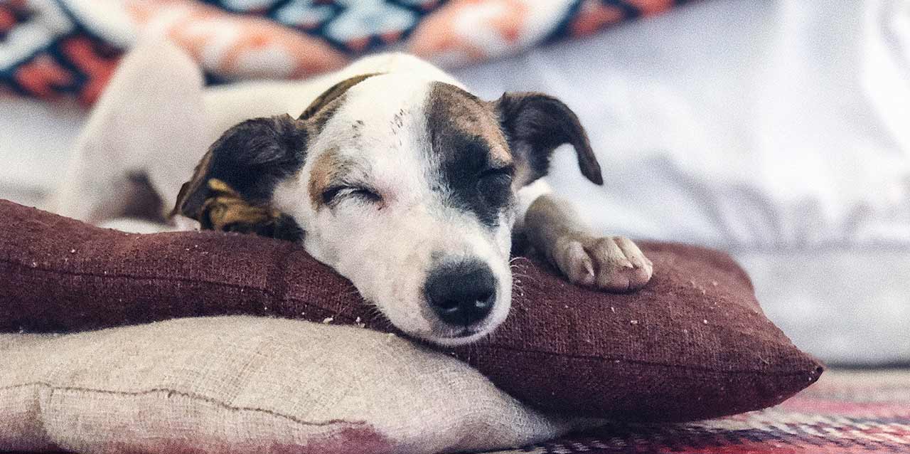 Dormir con almohada, ¿sí o no?