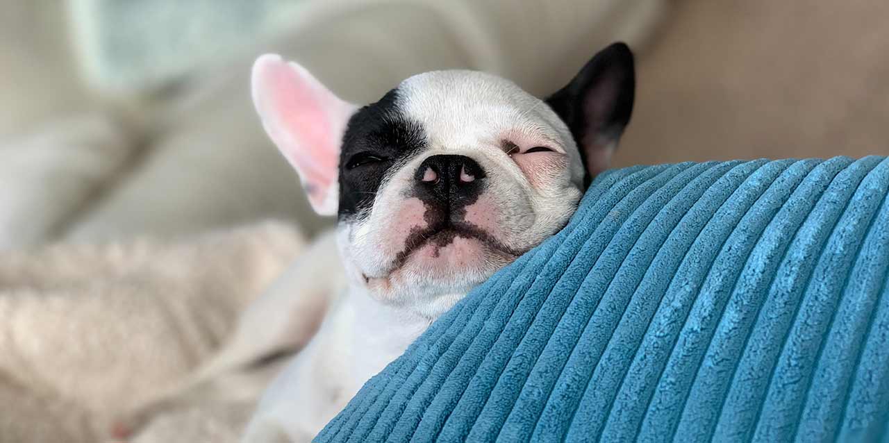 ¿Dormir más en fin de semana puede alargar mi vida?