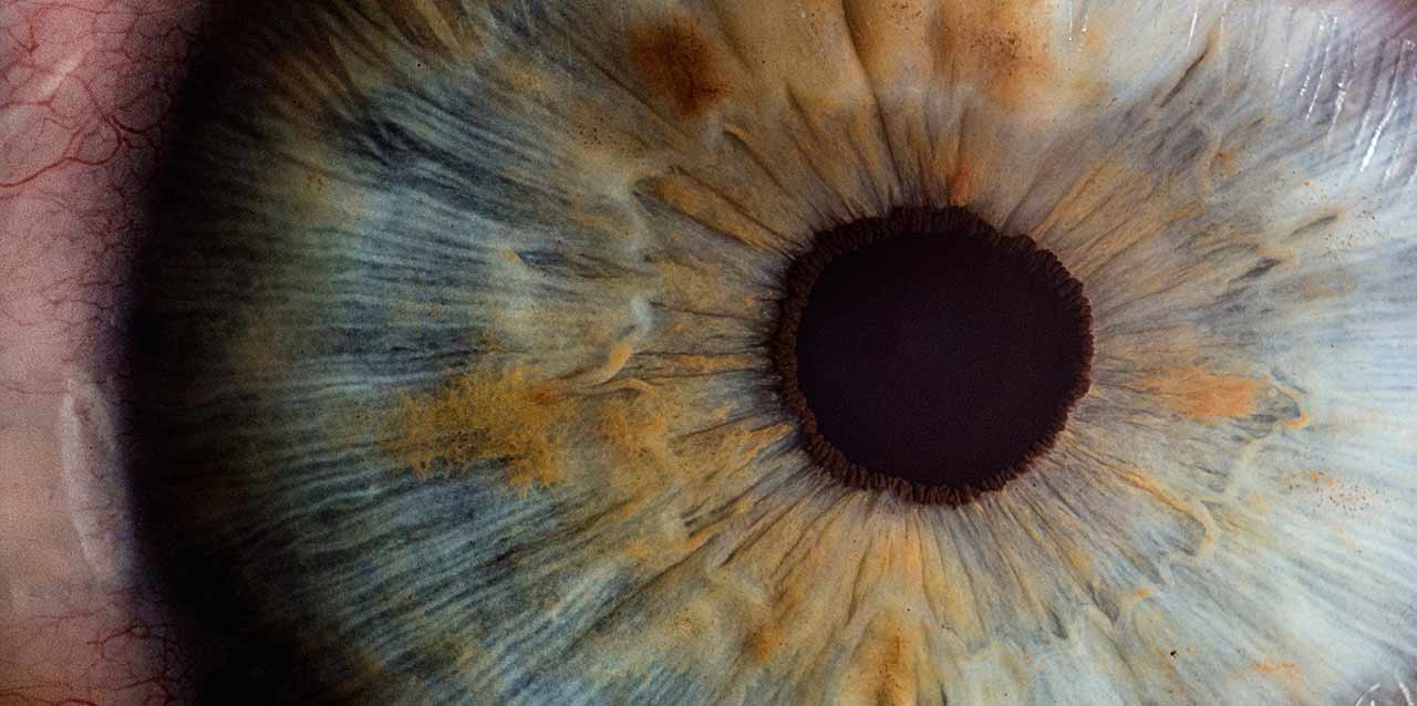 pupila de ojo con macro