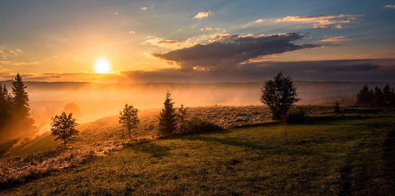 atardecer en pradera verde
