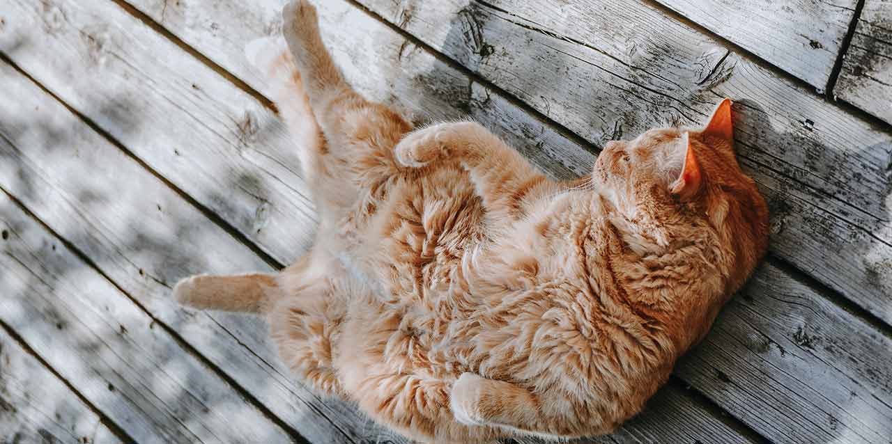 5 trucos infalibles para dormir en primavera
