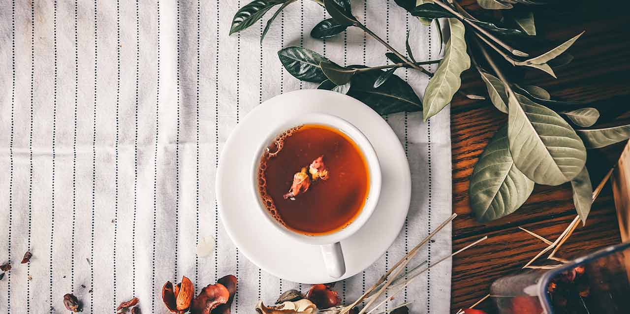 7 plantas que te ayudarán a dormir mejor