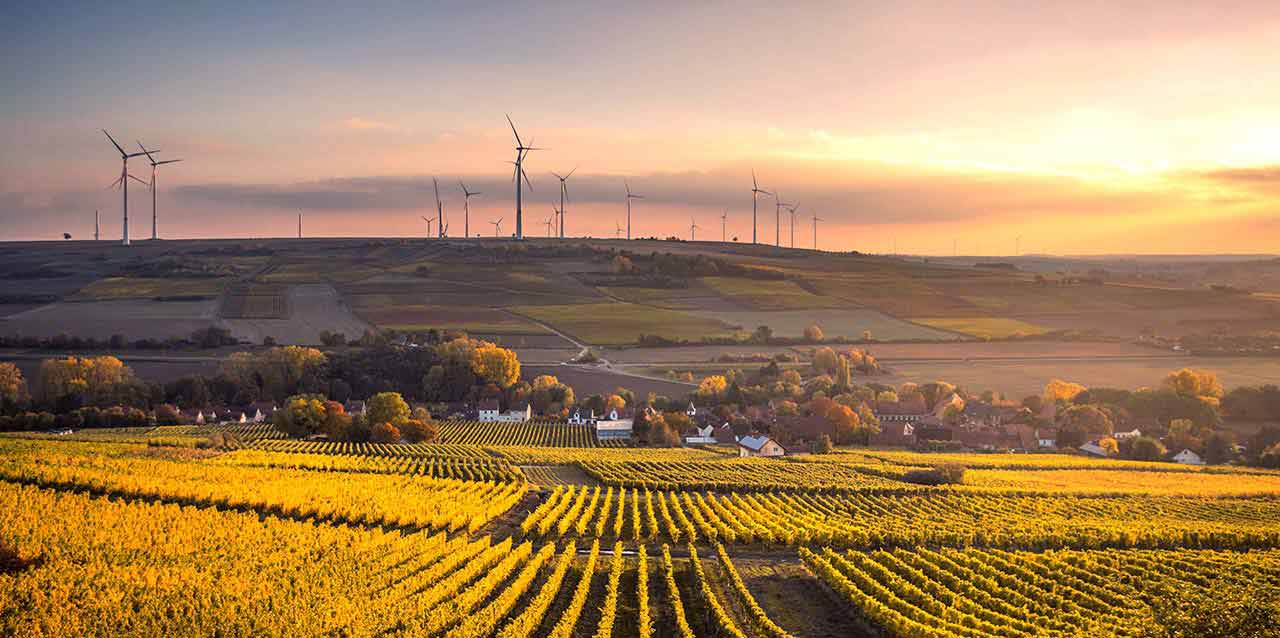 ¿Cómo influye el cambio climático en el descanso?