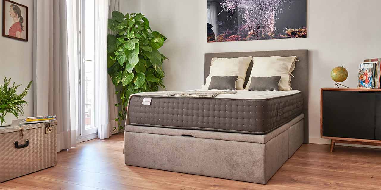 ¿Es malo dormir con plantas en la habitación?