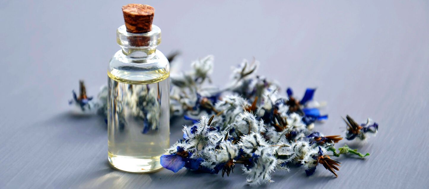 ¿Los mosquitos no te dejan dormir? Remedios caseros más efectivos