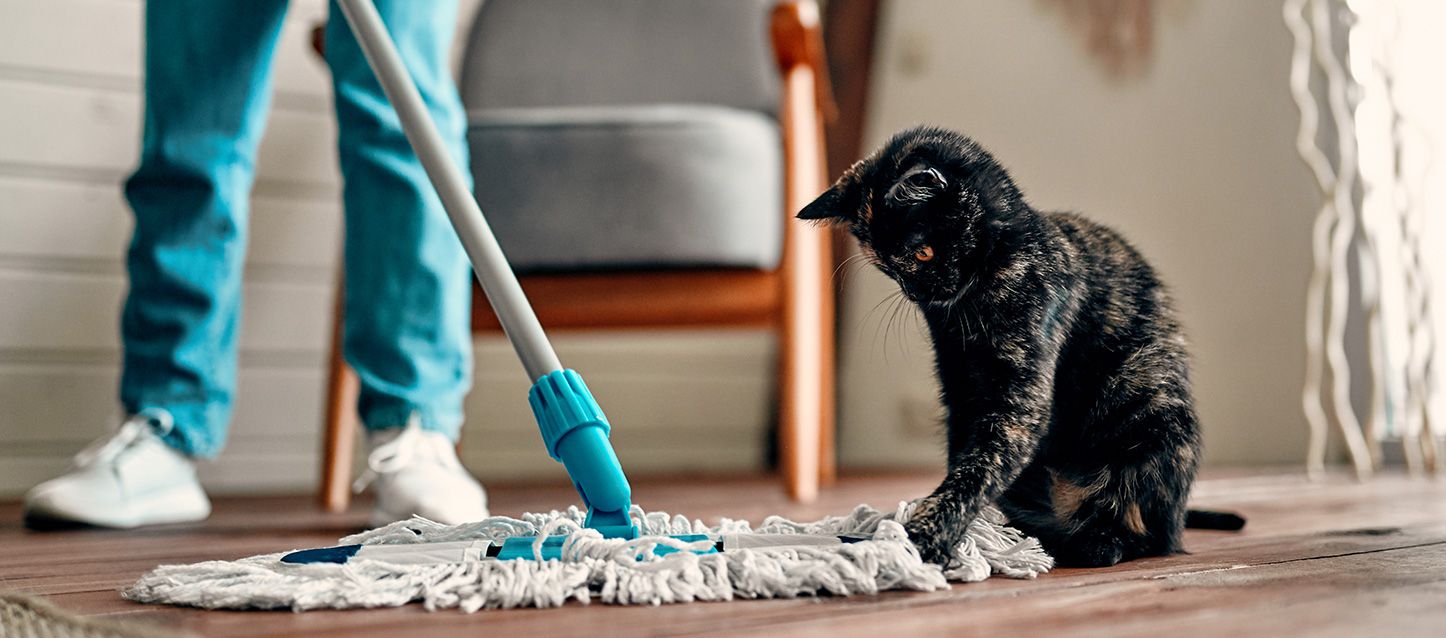 persona limpiando un dormitorio con una fregona con la que está jugando un gato de color negro con manchas marrones y grises